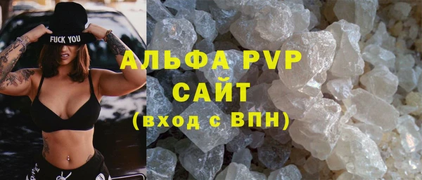 индика Порхов
