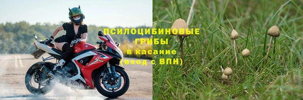 дживик Надым