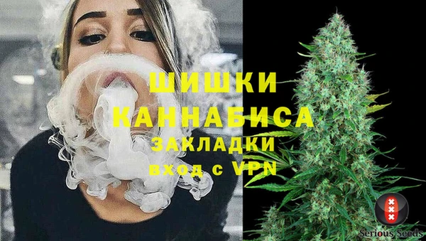 прущие грибы Мещовск
