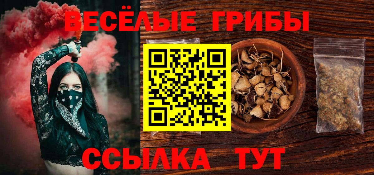 Псилоцибиновые грибы Cubensis  Псилоцибиновые грибы Magic Shrooms  магазин продажи наркотиков  Минусинск  Вход с VPN 