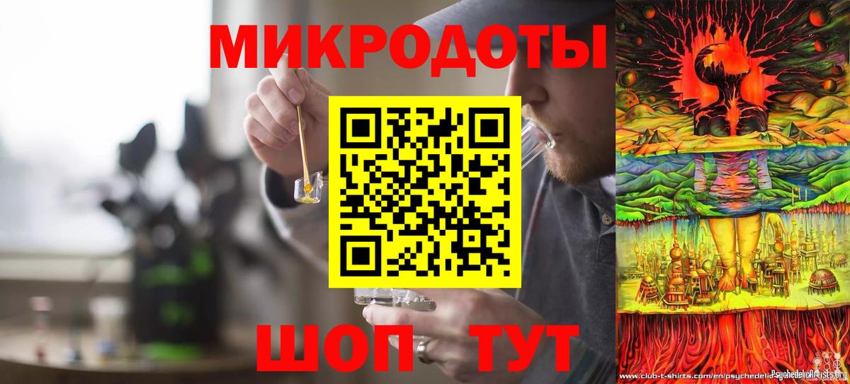 Псилоцибиновые грибы Psilocybine cubensis Минусинск
